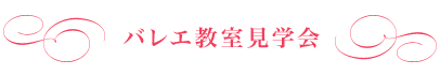 料金