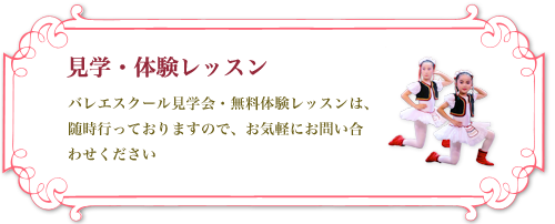 子供から大人まで見学会・体験レッスン受付中。バレエスクール見学会・無料体験レッスンは、お気軽にお問合わせ下さい
